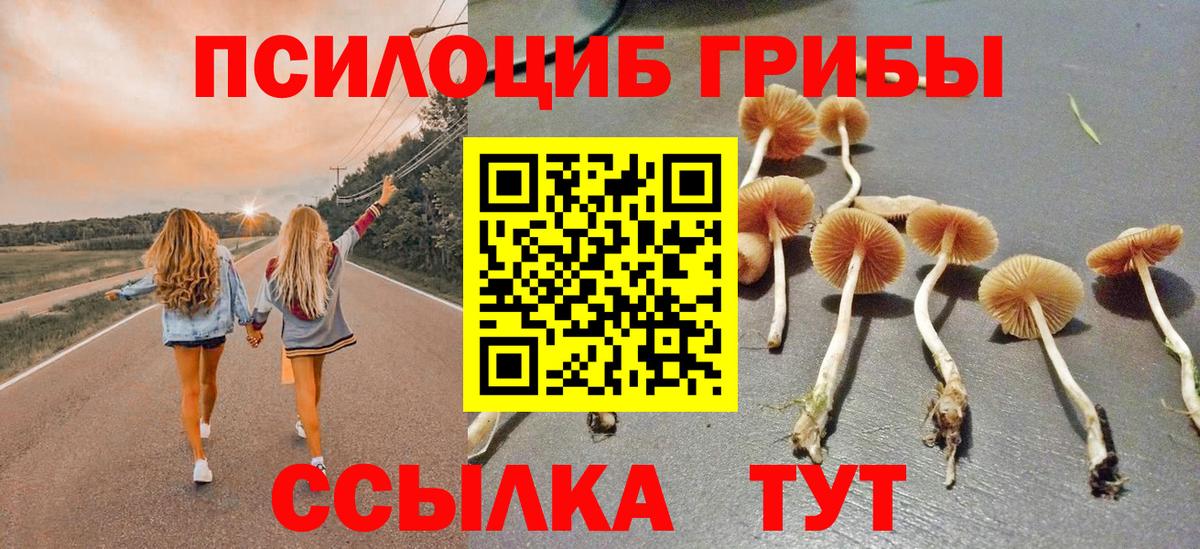 Псилоцибиновые грибы Psilocybe  Вход с VPN  наркотики  Новороссийск 