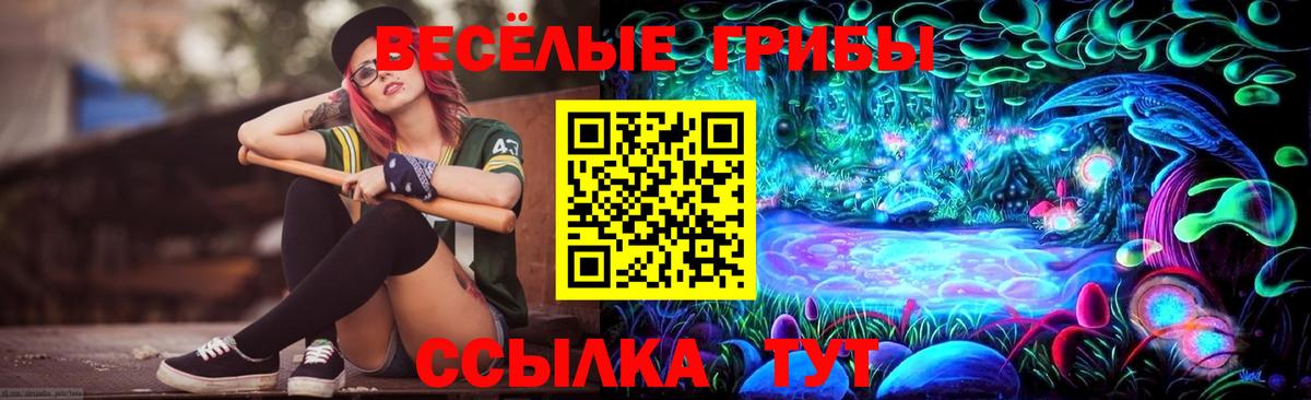Галлюциногенные грибы мицелий Новороссийск