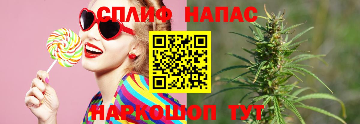 Бошки Шишки марихуана Новороссийск